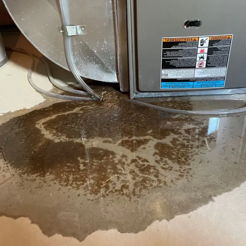 Pipe Burst and Leak Restoration in San Miguel County, CO